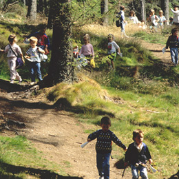 childreninwoods