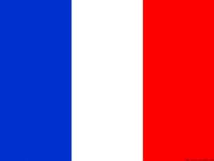 french flag sm