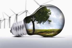 bulb