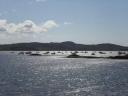 Arisaig