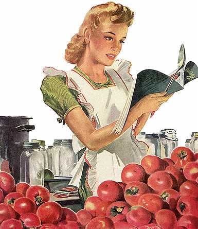 cookbook